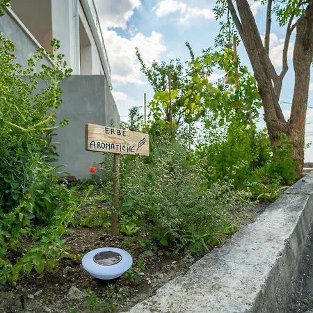 Romantica Con Bosco Sulla Strada Dei Vini * Chiusano di San Domenico