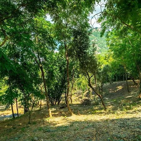 Willa Romantica Con Bosco Sulla Strada Dei Vini